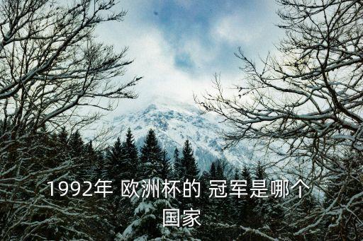 1992年 歐洲杯的 冠軍是哪個(gè) 國(guó)家