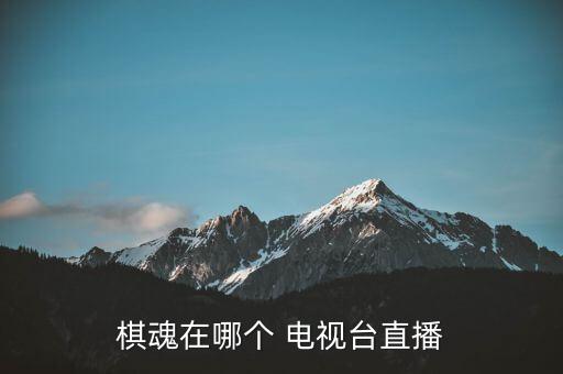 哪個(gè)電視臺(tái)是圍棋,貴州電視臺(tái)首個(gè)數(shù)字付費(fèi)圍棋頻道正式開播