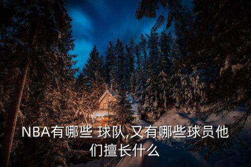 NBA有哪些 球隊(duì),又有哪些球員他們擅長(zhǎng)什么