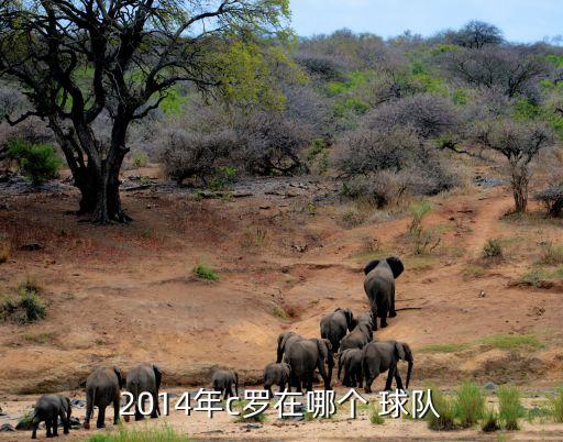 2014年c羅在哪個(gè) 球隊(duì)