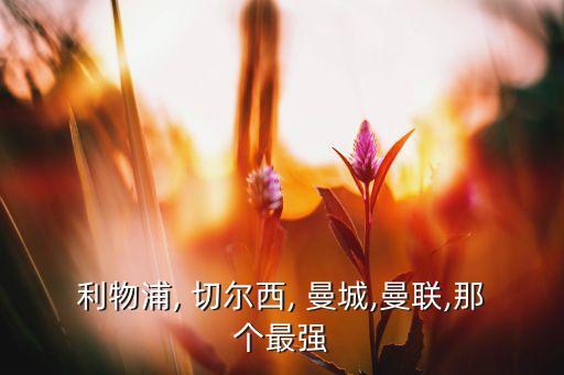 切爾西 曼城 哪個(gè)好看,切爾西和曼聯(lián)未來會(huì)更強(qiáng)?