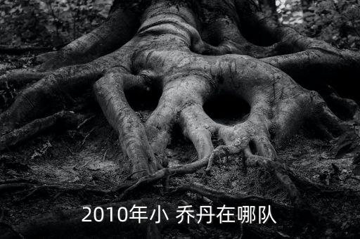 2010年小 喬丹在哪隊