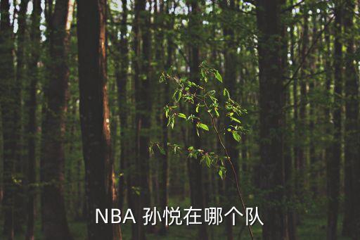 NBA 孫悅在哪個(gè)隊(duì)