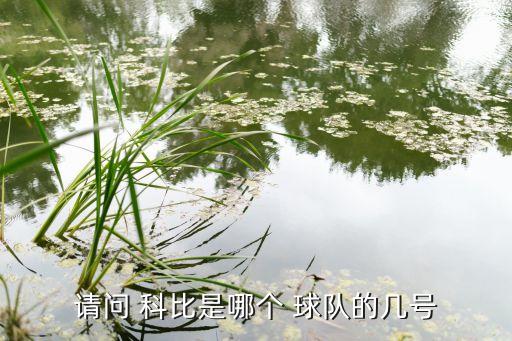 科比8號是在哪個球隊(duì),得潘、黑曼巴