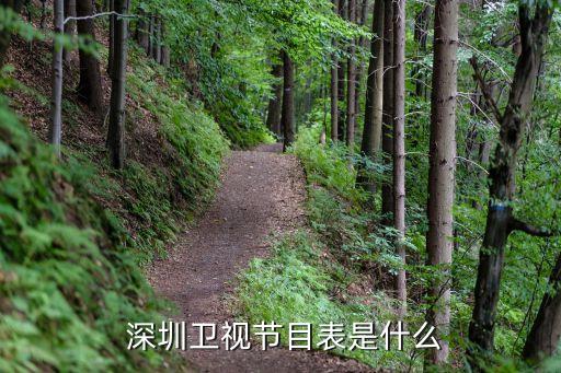 深圳對北京哪個臺直播回放,中央視頻支持地方電視臺直播