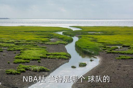 2014杜蘭特在哪個(gè)球隊(duì),nba球星杜蘭特回顧職業(yè)生涯