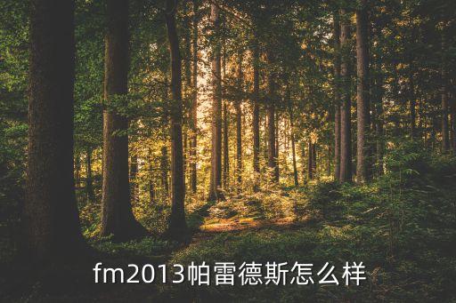  fm2013帕雷德斯怎么樣