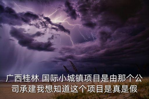 小國際吧是哪個,孩子想上國際學校?可以申請嗎?