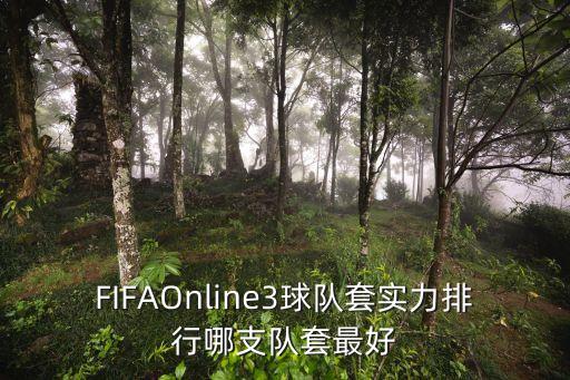 fifa拉姆哪個(gè)賽季強(qiáng),國(guó)服各位置最強(qiáng)名單出爐!