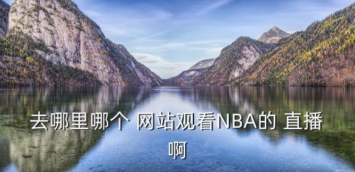 哪個網(wǎng)站nba直播嗎,nba直播教學(xué)網(wǎng)絡(luò)要求高網(wǎng)絡(luò)不然會卡