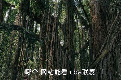 哪個(gè) 網(wǎng)站能看 cba聯(lián)賽