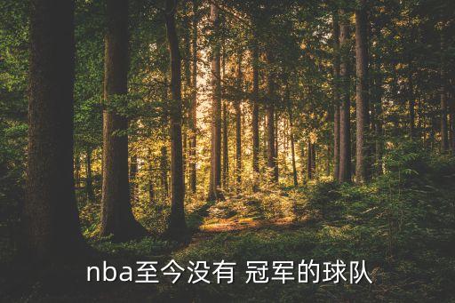  nba至今沒(méi)有 冠軍的球隊(duì)