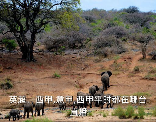 英超、西甲,意甲,西甲平時都在哪臺 直播