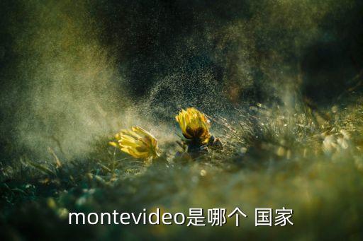 montevideo是哪個 國家