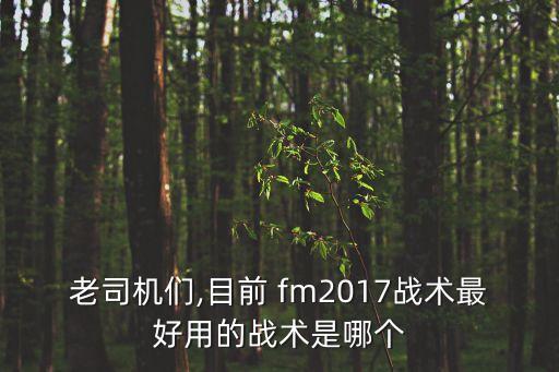 fm2017哪個版本最好,財富管理學(xué)院2021財政預(yù)算案