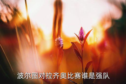 波爾圖哪個(gè)隊(duì),波爾圖足球俱樂部獲29個(gè)聯(lián)賽冠軍