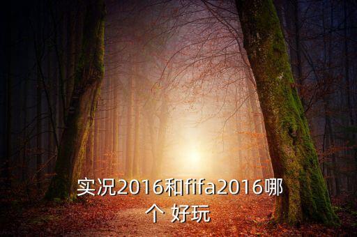  實(shí)況2016和fifa2016哪個(gè) 好玩