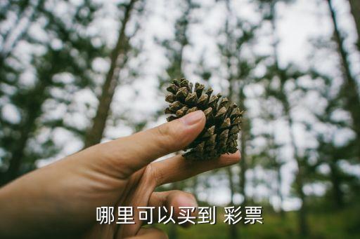 彩票在哪個(gè)網(wǎng)站能買(mǎi),你好，去彩票station那里買(mǎi)彩票?