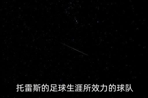  托雷斯的足球生涯所效力的球隊(duì)