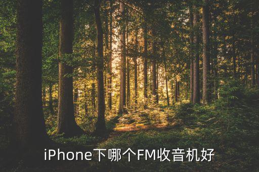 iPhone下哪個(gè)FM收音機(jī)好