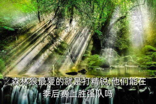  森林狼最愛的就是打精銳,他們能在季后賽上勝強(qiáng)隊(duì)嗎