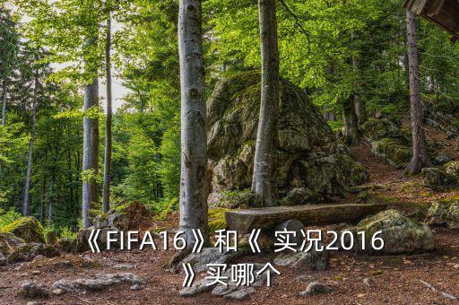 《FIFA16》和《 實(shí)況2016》買(mǎi)哪個(gè)