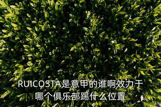 RUICOSTA是意甲的誰啊效力于哪個俱樂部踢什么位置