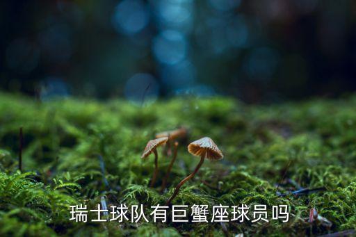  瑞士球隊(duì)有巨蟹座球員嗎