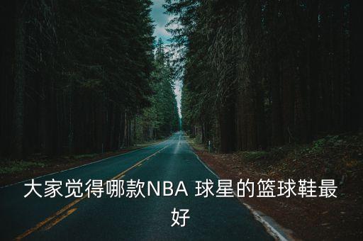 大家覺(jué)得哪款NBA 球星的籃球鞋最好