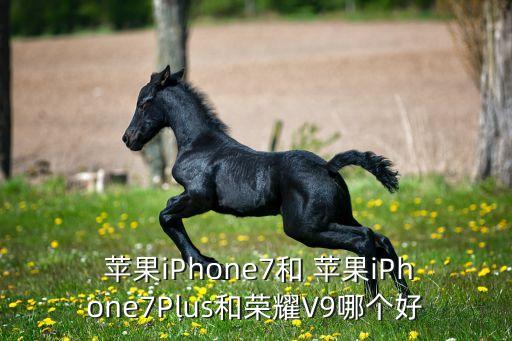 詹姆士和蘋果7哪個好,蘋果iphone7最薄處理器比se好