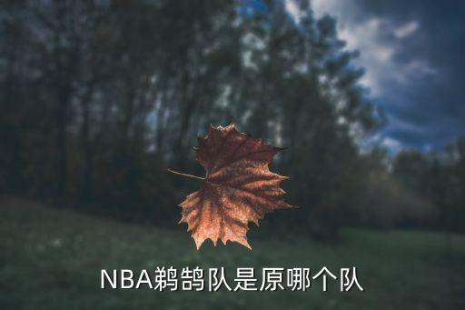 NBA鵜鵠隊是原哪個隊