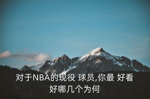 對于NBA的現(xiàn)役 球員,你最 好看好哪幾個(gè)為何