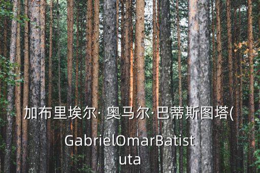 加布里埃爾· 奧馬爾·巴蒂斯圖塔(GabrielOmarBatistuta