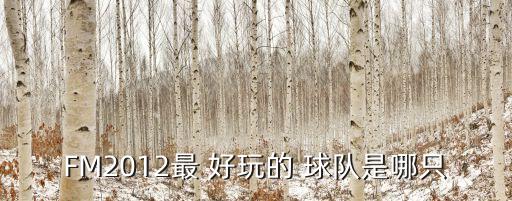 fm2014哪個(gè)球隊(duì)好玩,中游球隊(duì)可作為核心訓(xùn)練嗎?