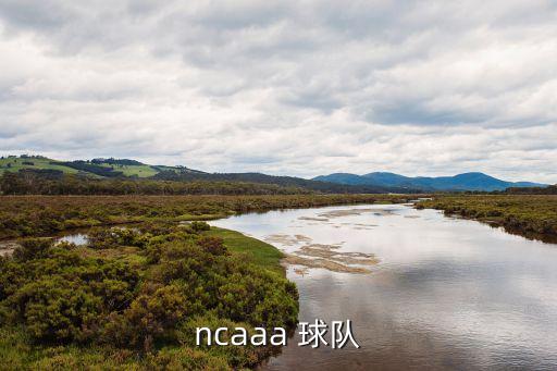 圣十字是哪個球隊,克蘇魯之盾加入ncaa需要四名學(xué)生運(yùn)動隊