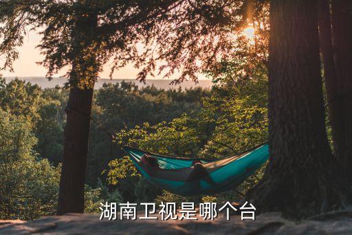 湖南衛(wèi)視哪個頻道直播,湖南有多少家電視臺頻道?