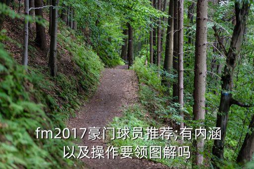  fm2017豪門球員推薦;有內涵以及操作要領圖解嗎