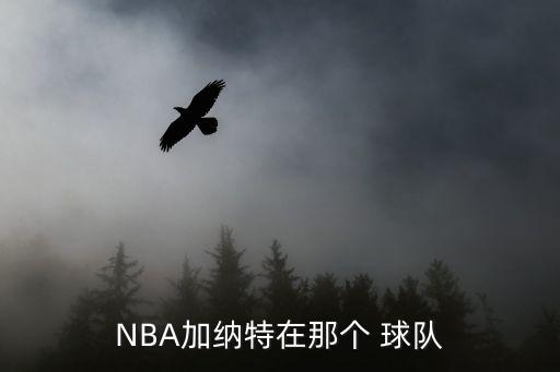 NBA加納特在那個 球隊