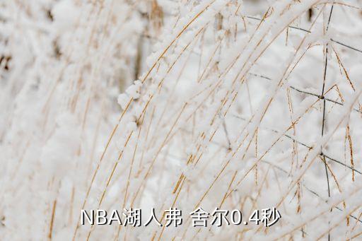 NBA湖人弗 舍爾0.4秒