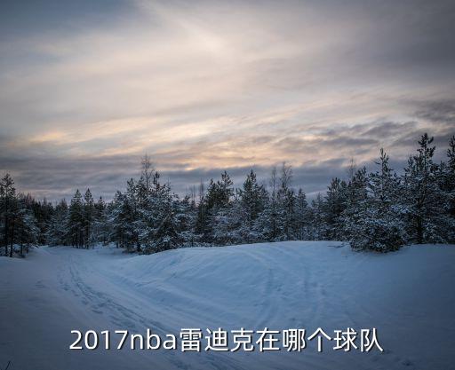 2017nba雷迪克在哪個球隊