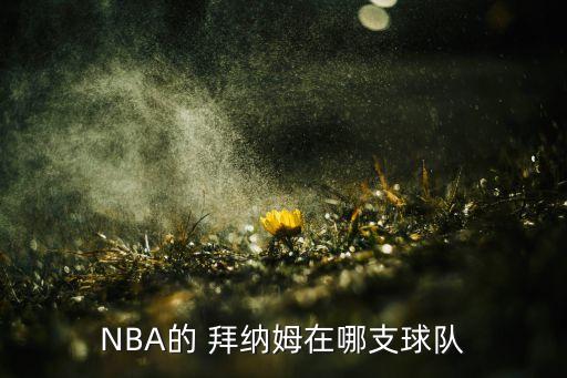 NBA的 拜納姆在哪支球隊(duì)