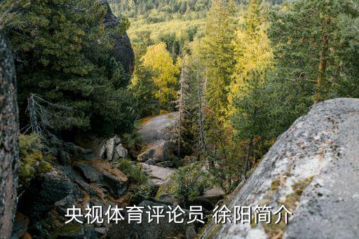 央視體育評(píng)論員 徐陽(yáng)簡(jiǎn)介