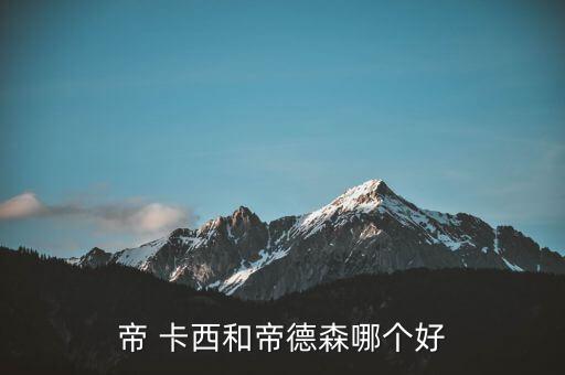 帝 卡西和帝德森哪個好