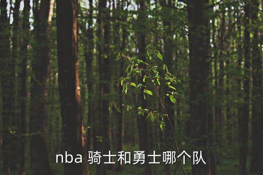 nba 騎士和勇士哪個隊