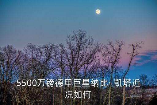 凱塔是哪個位置,轉(zhuǎn)會費5500萬歐元凱塔或戰(zhàn)勝布隆迪