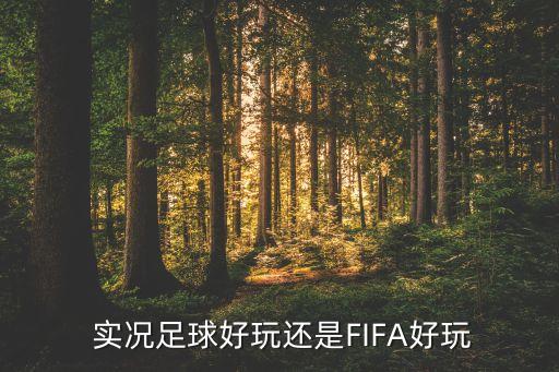  實(shí)況足球好玩還是FIFA好玩