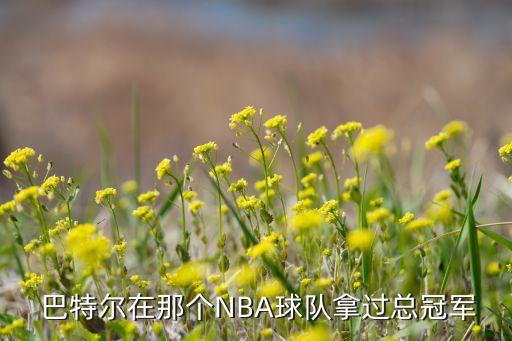 巴特爾nba在哪個(gè)隊(duì),nba移動(dòng)長(zhǎng)城巴特爾被開除了嗎?