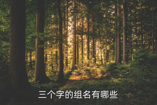 太陽和夢想哪個隊,太陽組:我們是新晉太陽茁壯成長