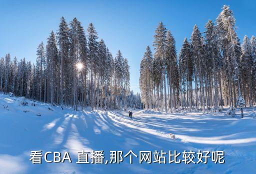 看CBA 直播,那個網(wǎng)站比較好呢