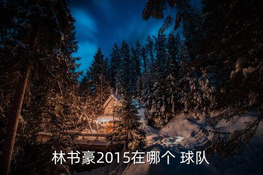 林書豪2015在哪個 球隊(duì)